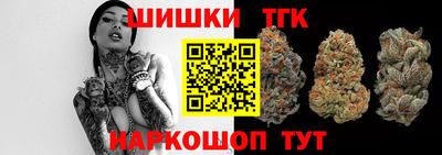 тгк Новодвинск