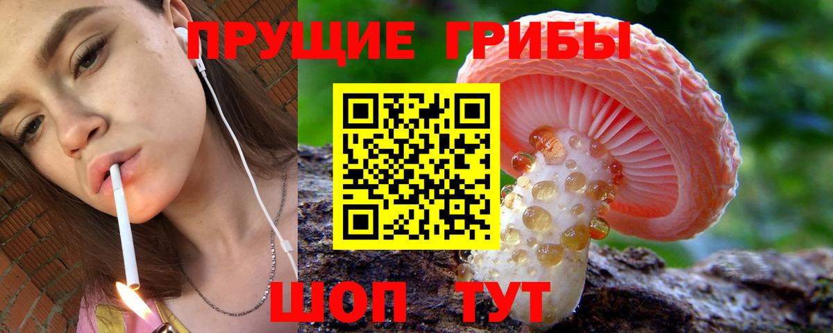Топки  Псилоцибиновые грибы мухоморы  Вход с VPN  Псилоцибиновые грибы MAGIC MUSHROOMS 